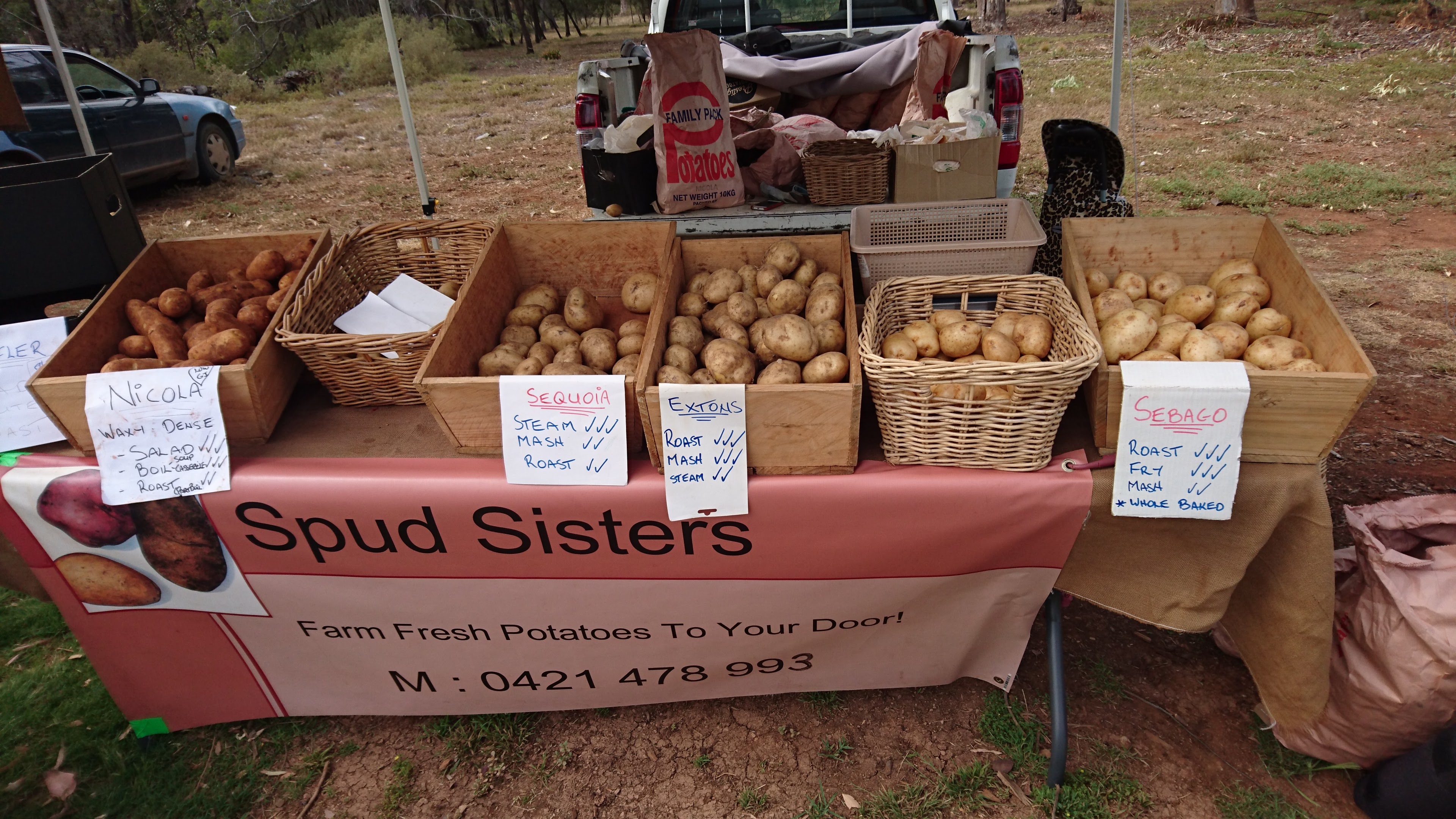 Spud Sisters