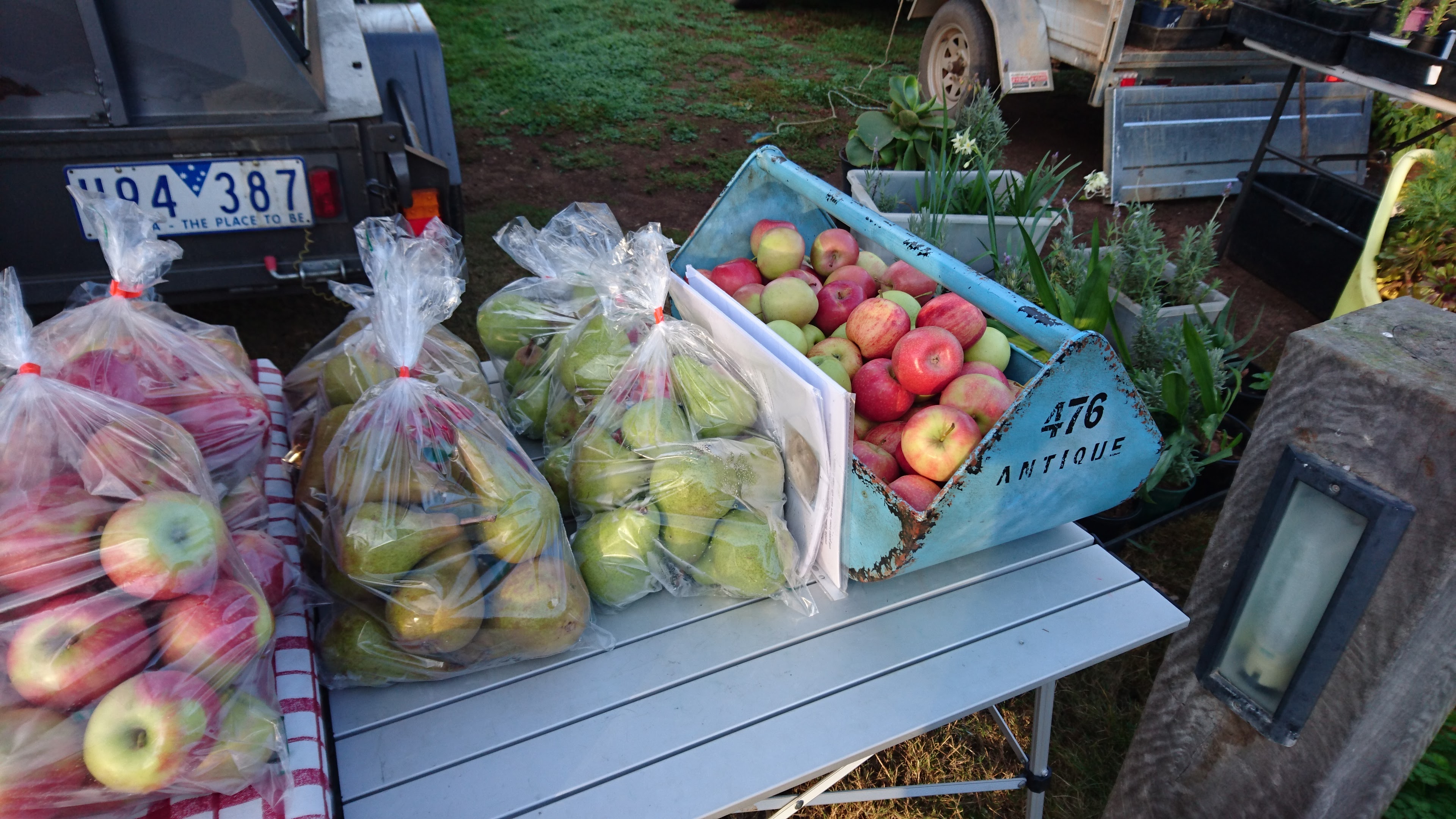 Pollards Harcourt Orchard