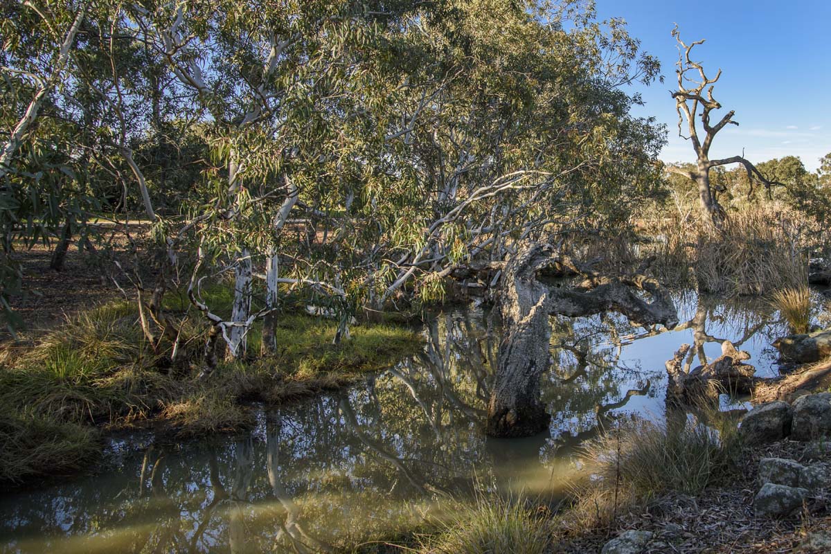 Melton Botanical Garden