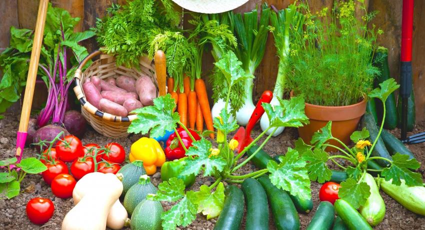 Spring Veges