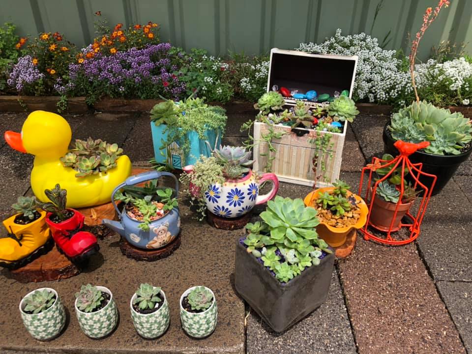 Creative Succulents